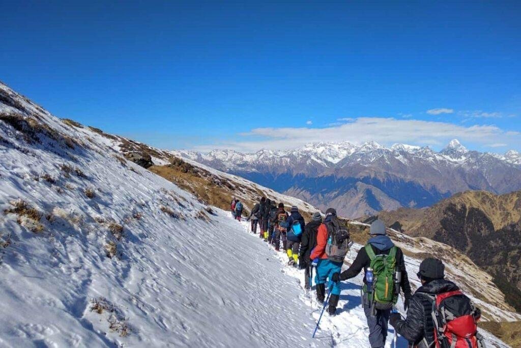 Kauri Pass meadows